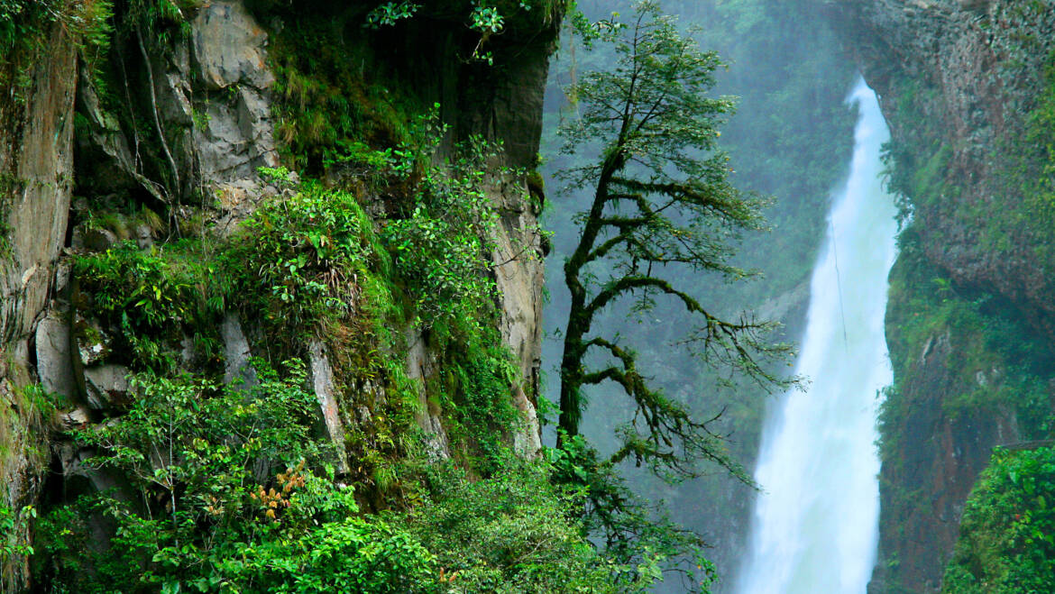 Explorando las Maravillas Naturales: Las 5 Mejores Cascadas para Conocer en Ecuador