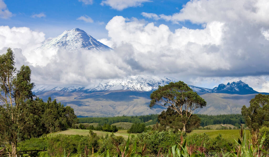 Explorando la Naturaleza en Ecuador